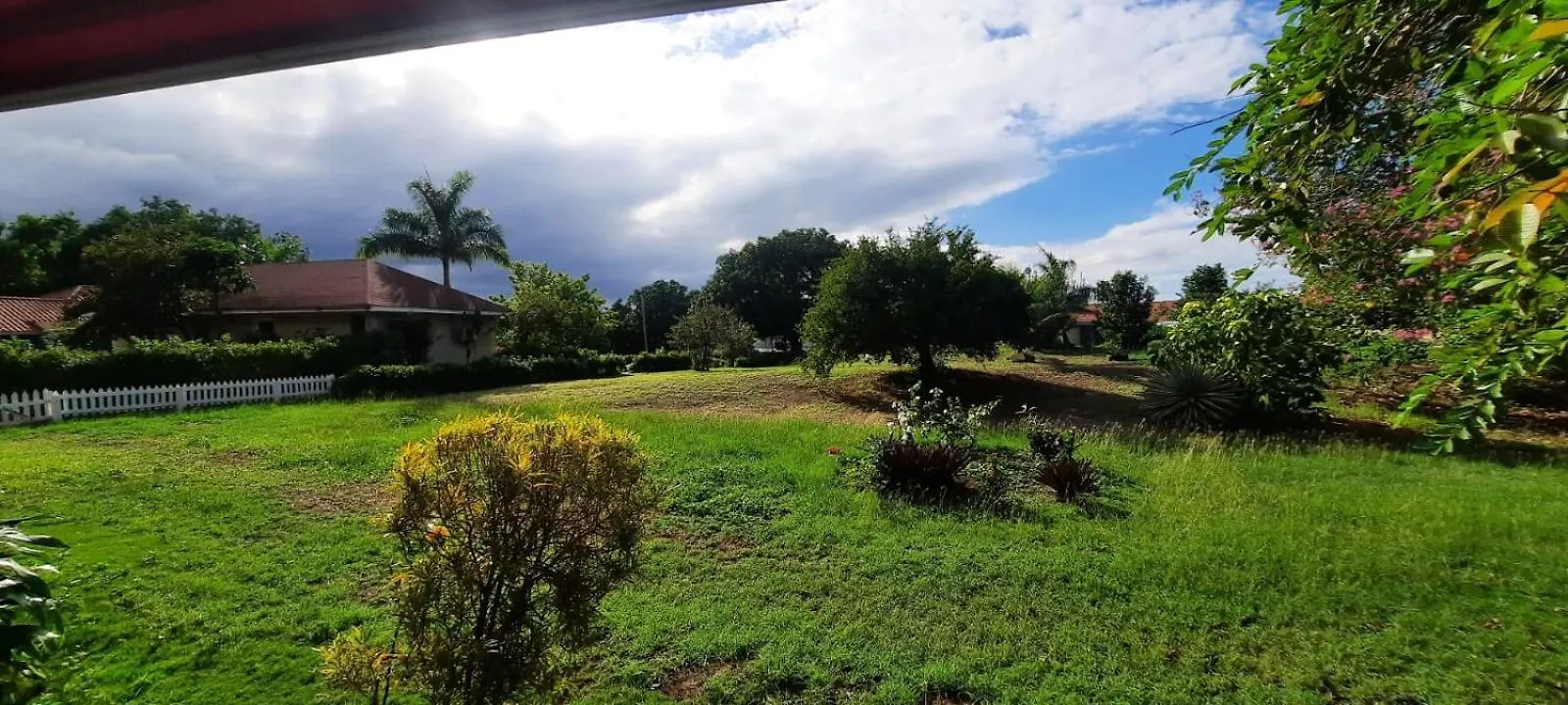 Island Getaway At The Garden Studios Montego Bay Apartment